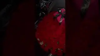 Вай безам ц1ена бу сирлачу шовданал🔥 #чеченскиепесни #песни