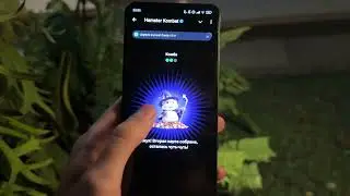 Срочно! 15 АВГУСТА НОВОЕ КОМБО В HAMSTER KOMBAT! КОМБО В ХАМСТЕР КОМБАТ СЕГОДНЯ ХАМСТЕР КОМБАТ