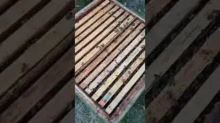 двухматочный монстр...