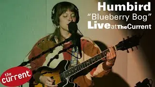 Humbird performing 