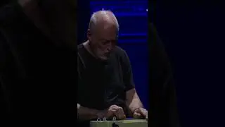 David Gilmour 🎸🎼