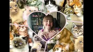 Коты в моей жизни