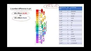 BC 15 7 pH Scale part 2