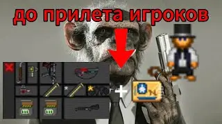 Афера Пун Пун