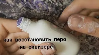 как восстановить перо на сквизере