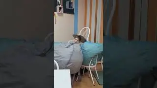 Skibidi toilet 65
