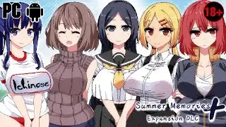 Summer Memories - Gameplay