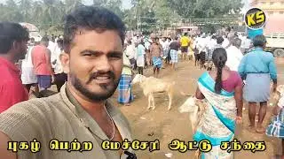 சேலம் புகழ் பெற்ற மேச்சேரி ஆட்டு சந்தை 2025 