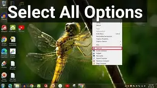 How to Add a Select All Option to Your Right Click Context Menu