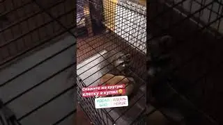 Комплект номер 6