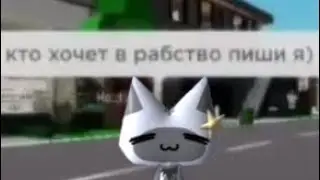 16 марта 2024 г.