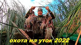 THE BEST HUNTING OF THE SEASON!!! Duck Hunting 2022!!! Morning Part 2 / MAX HUNTER