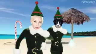 MERRY CHRISTMAS FROM ROMEO & MIKI ROSE