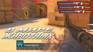 В МИРЕ ЖИВОТНЫХ! - ПАТРУЛЬ CS:GO #43