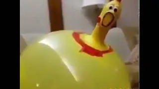 GALINHA DE BORRACHA WOOOOOOOOOOOOO PORRA