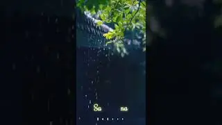 black screen status song love | rain black screen effects 30 seconds | tree black screen effect