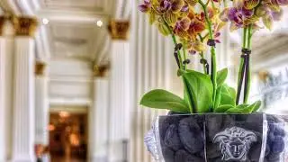 Versace Crystal Med Lumiere Kristal & Cam Sofra Takımları ve Dekoratif Aksesuar