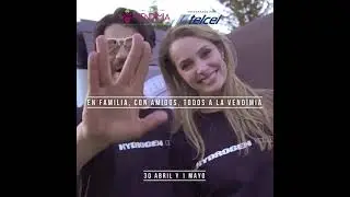 Qué hay de nuevo en LA VENDIMIA con...MOLTO VIVACE