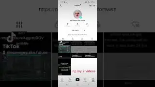 Got 2 videos taken down