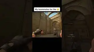 My Teammates Be Like | CS:GO|#csgo #funny #funnygaming #game #csgoclips #csgohighlights #csgomoments
