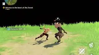 GENSHIN impact Ipad Ios Graphic Glitches / problems
