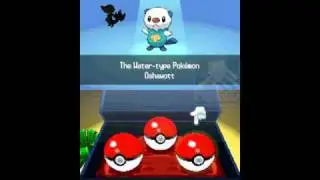 Pokemon Black & White - New Game, First Pokemon, First Battles