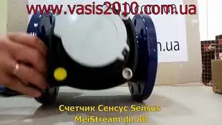 Водомер Sensus MeiStream