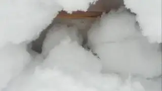 Улей под снегом.