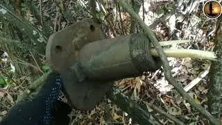 Что Я нашел В дебрях посадки
