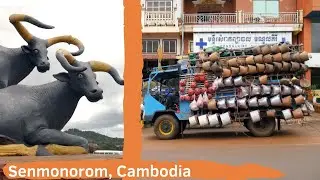 Life in the Cambodian Countryside: A Real Village in Cambodia's Mountains!