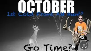 When to Hunt October Mornings for Whitetail Bucks