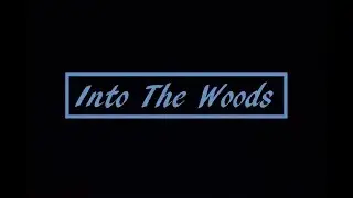 Into The Woods | CHANNEL TRAILER