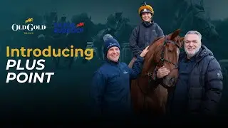 Introducing Plus Point | Razor Ruddock Racing | Old Gold Racing launches new horse!