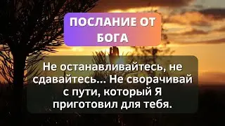 ✨ Бог говорит вам сегодня: не отказывайтесь от своего пути, не сдавайтесь, не бросайте полотенце ✨