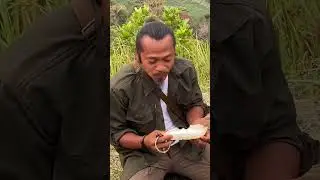 Durian Bawor mulai musim !!!