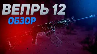 Обзор  ВЕПРЬ 12