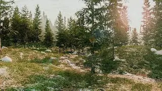 Cinema4d tutorial Digital Nature/Forest part 3