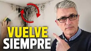 💦Cómo Quitar el MOHO de las Paredes con Humedad 👌 ¡PARA SIEMPRE! (Consejos LÓGICOS)