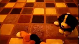 Webkinz Music Video ~Cool Kids~