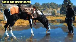 I Spent 100 Hours Playing Red Dead Redemption 2 and Found the RAREST Horses
