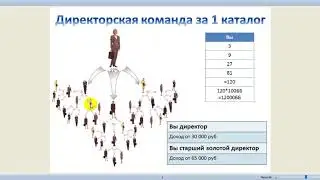 Директор и выше с акций 