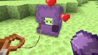 How to tame SHULKER in Minecraft?