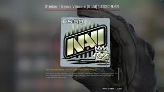 2020 RMR Unboxing - Natus Vincere GOLD