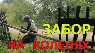 СОСЕДИ  ПРОТИВ ЗАБОРА🤷‍♂️🤦 /ЗАБОР СВОИМИ РУКАМИ/ ДОМ / ИЗБА / ХУТОР/ ДОМ У ЛЕСА