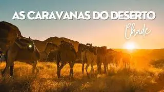 Fomos em busca de uma caravana de camelos no Chade!