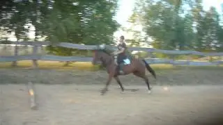 Szellő