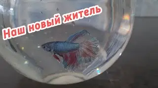 Купили Ксюше платье👕/22.05.24