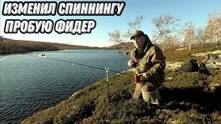 РЫБАЛКА в сентябре. Изменил СПИННИНГУ, рыбачу на ФИДЕРНЫЕ удилища. ДОНКА, червь,опарыш.