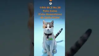 ¿Un gato físico de partículas? 🥼📝😼🐈 #ciencia #física #gatos  #curiosidades  #cientificos