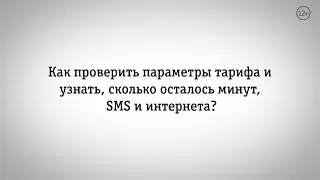 Мой Билайн: как узнать, сколько осталось минут, SMS и интернета?